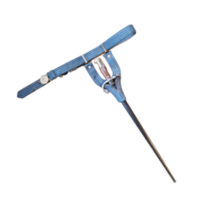 francuski pas oficera