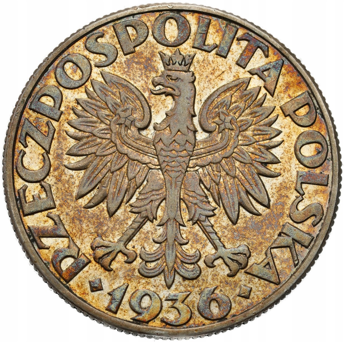 II RP żaglowiec 5 złotych