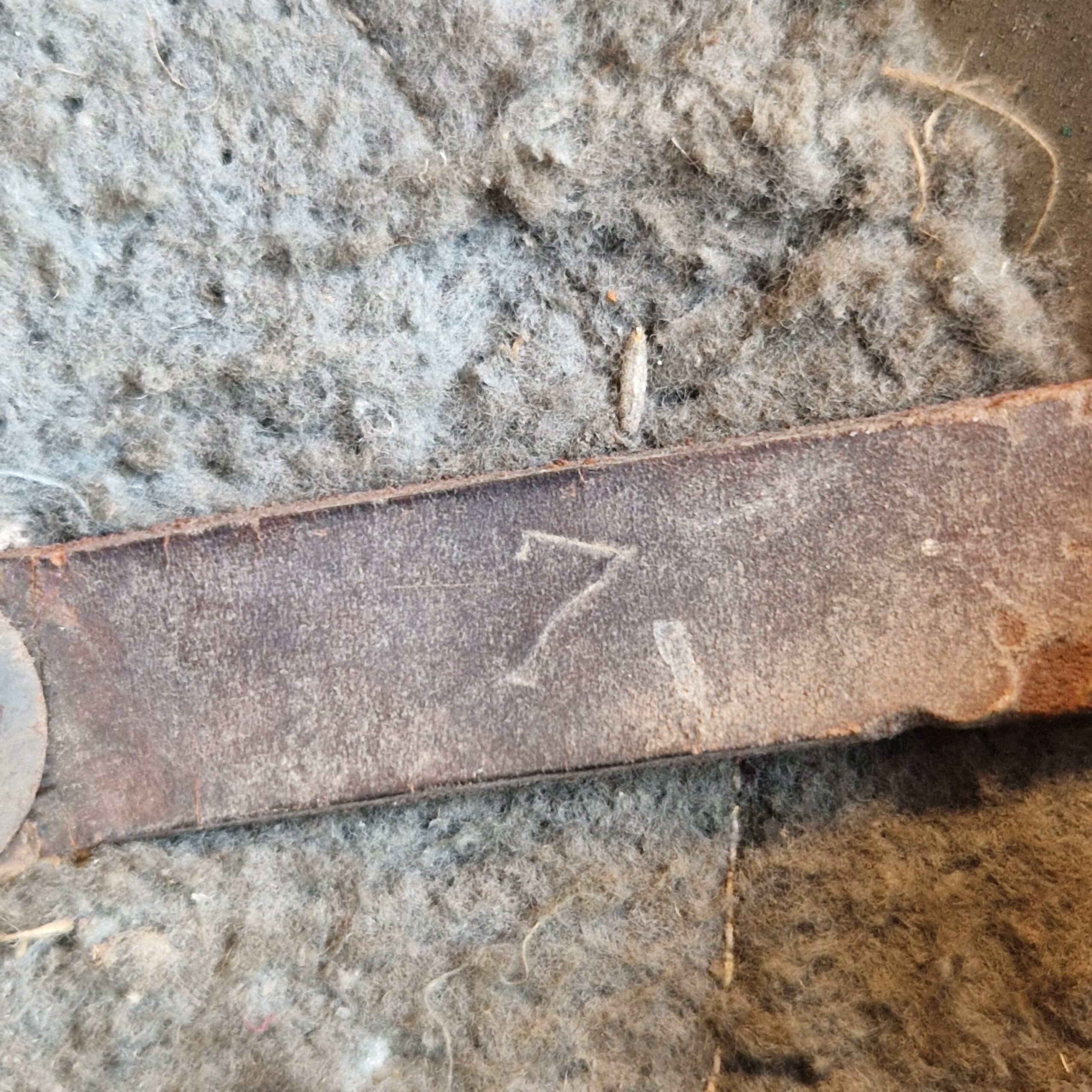 Hełm US M1917 91 Dywizja Piechoty