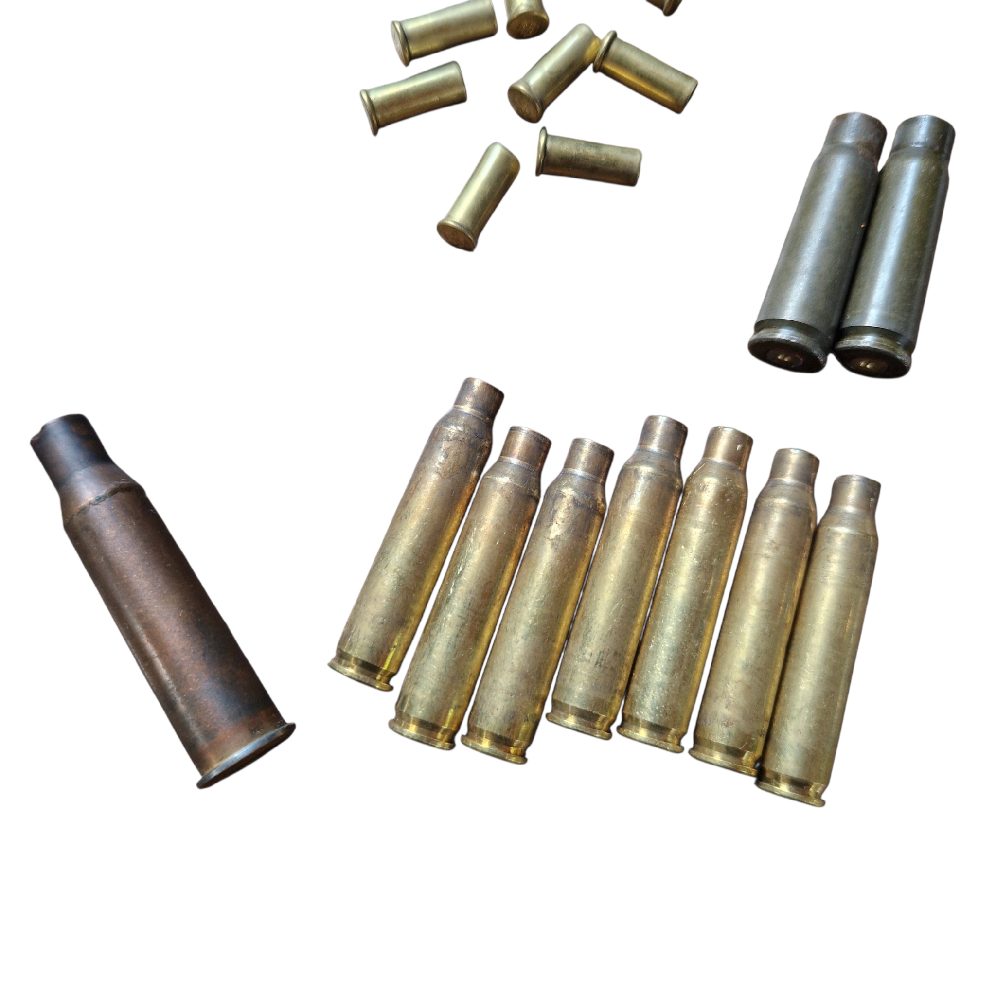Zestaw 57 sztuk łusek
