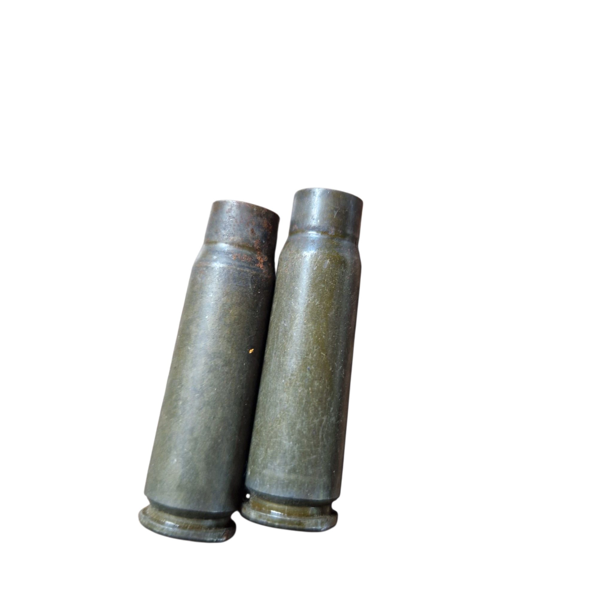 Zestaw 57 sztuk łusek