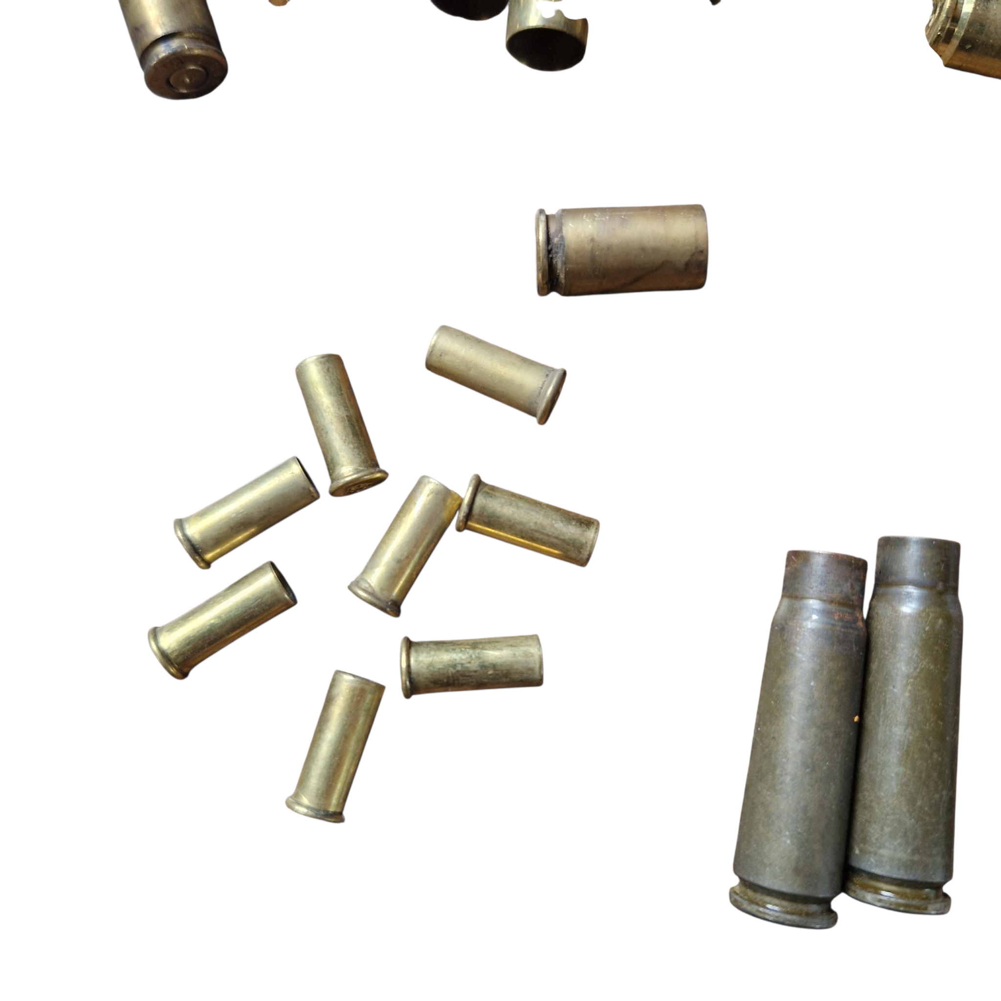 Zestaw 57 sztuk łusek