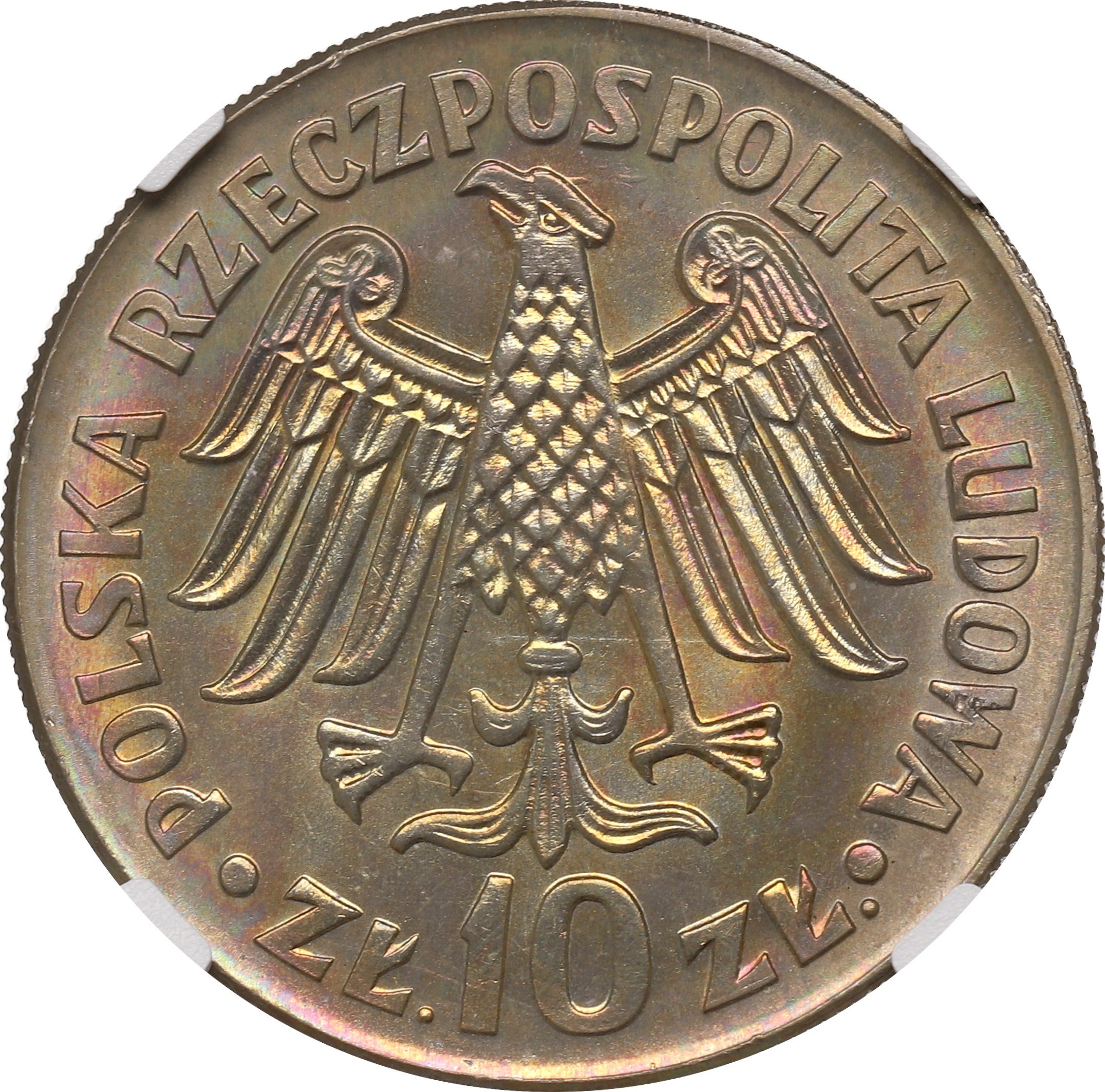 10 złotych 1964 Kazimierz Wielki - wypukły NGC MS66