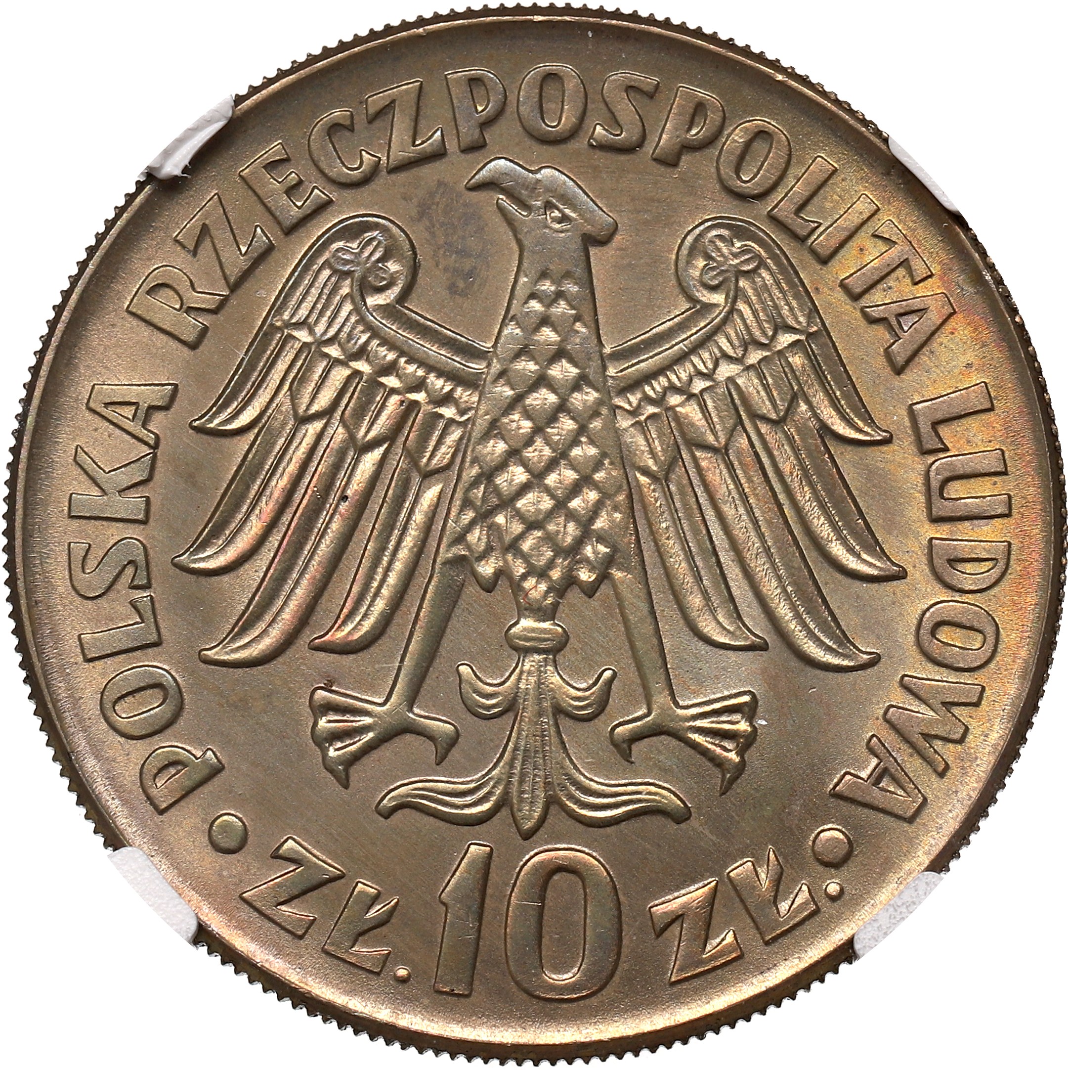 10 Złotych 1964 Kazimierz Wielki, wklęsły napis - NGC MS66